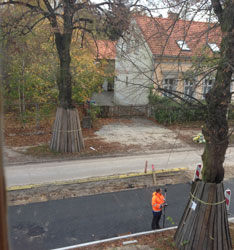 Foto von einem Vermesser auf der Baustraße vor dem Haus - heute früh.