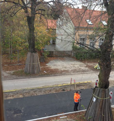 Blick auf Vermesser auf der Baustraße heute früh Foto von einem Vermesser auf der Baustraße vor dem Haus - heute früh.