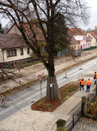Foto von neuer Straße Höhe Nr. 134 Foto von Straße Höhe Hausnr. 135 ist zu sehen - heute.