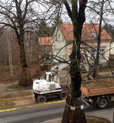 Foto von Bagger und LKW am ist zu sehen - heute.