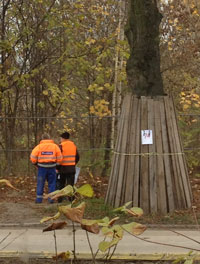 Foto von drei Menschen am Baum 74 ist zu sehen - heute.