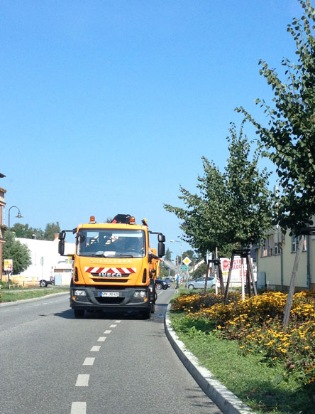 Foto von einem LKW, wo der Fahrer mit einem Schlauch die Bäume bespritzt, ist zu sehen.