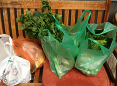 Tüten mit Gemüse vom Markt heute Foto von Einkaufstüten vom Markt ist zu sehen.