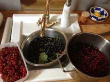 Foto von Beeren in einer Küche ist zu sehen
