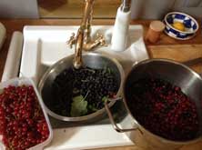 Beeren Foto von Beeren in einer Küche ist zu sehen