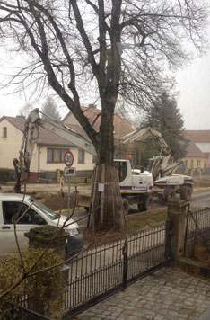 Foto von zwei Baggern und Transporter heute Foto von zwei Baggern und Auto ist zu sehen - heute.