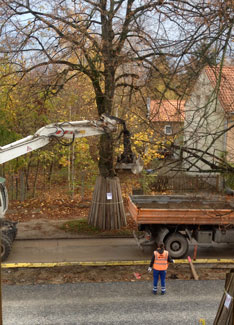 Blick auf Bagger, heute Foto von Bagger - heute.