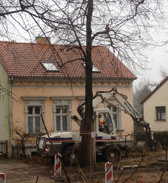 Foto von Bagger am Baum heute Foto von Bagger am Baum 72 ist zu sehen - heute.