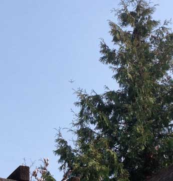 heute am Himmel um 14.30 Uhr Foto vom Himmel mit Hubschrauber.