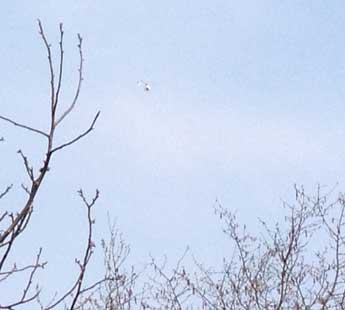 heute am Himmel um 14.43 Uhr Foto vom Himmel mit Hubschrauber.