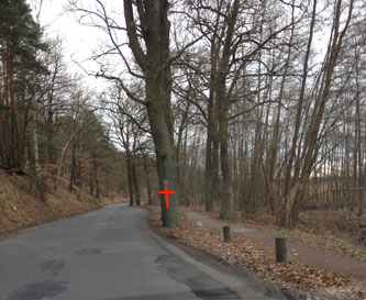 Blick auf Straße am Schwielowsee heute Foto von Straße am Ufer des Schwielowsees ist zu sehen - heute.