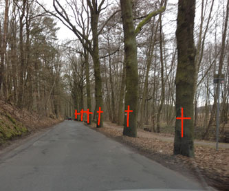 Blick auf Straße am Schwielowsee heute Foto von Straße am Ufer des Schwielowsees ist zu sehen - heute.