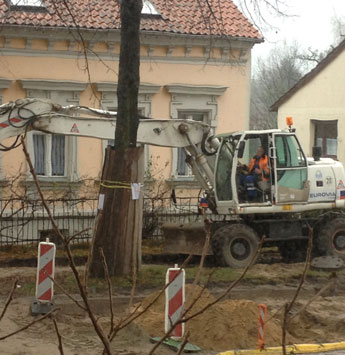 Foto von Bagger am Baum heute Foto von Bagger am Baum 72 ist zu sehen - heute.