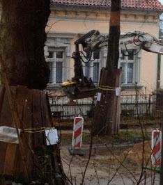Foto von Bagger am Baum heute Foto von Bagger am Baum 72 ist zu sehen - heute.