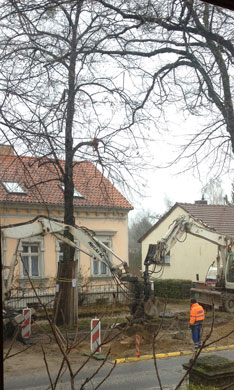 Foto von zwei Baggern am Baum 72 ist zu sehen - heute.