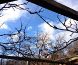 Blick in den Himmel heute Foto von Himmel ist zu sehen - heute.