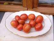 Foto von Tomaten auf einem Teller aus dem Garten der Eisenbahnstraße 133 Foto von roten Tomaten ist zu sehen