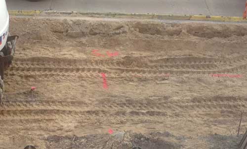 Markierung heute früh gesehen Foto von einer Markierung im Sand.
