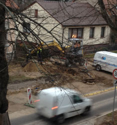 Foto von kleinem Bagger und TEG Auto ist zu sehen - heute.