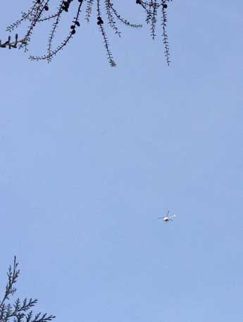 heute am Himmel um 20 Uhr Foto vom Himmel.