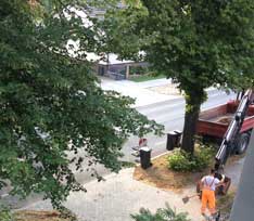 Eisenbahnstraße an den Linden Foto von dem Fußweg an den Linden ist zu sehen