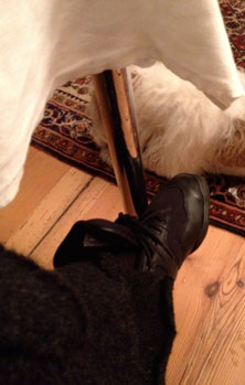 Foto von Hund unter dem Tisch heute Foto von Hund unter dem Tisch ist zu sehen - heute.