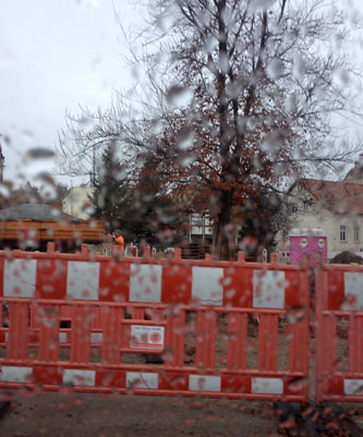 Foto von Baum an dem Abzweig zur A.-Damaschke-Straße ist zu sehen - heute.