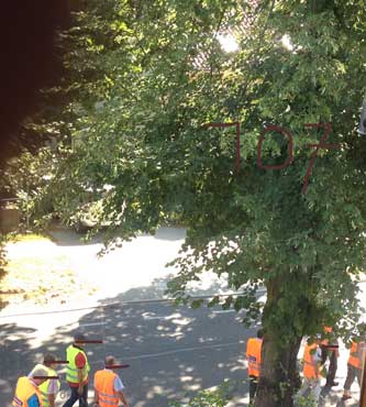 Foto von der Straße an der Linde 107 mit Leuten ist zu sehen