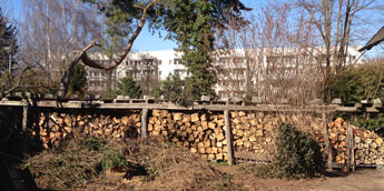 Holzlager heute gesehen Foto von einem Holzlager ist zu sehen - heute.