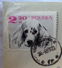 Foto von einer Briefmarke auf einem Kuvert mit Stempel heute Nachmittag.