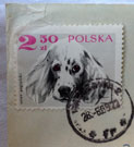 heute Nachmittag Foto von einer Briefmarke auf einem Kuvert mit Stempel heute Nachmittag.