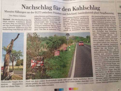 heute früh in einer Tageszeitung Foto von Ausschnitt eines Artikels über Baumfällungen ist zu sehen - heute