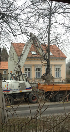 Foto von der anderen Straßenseite, die neue Einfahrt - heute früh