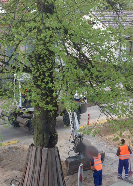 Foto: auf der Eisenbahnstraße in unserer Einfahrt ist wieder der Bagger da.title=