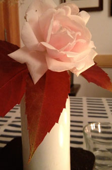 Foto von einer Rose ist zu sehen.