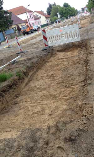 Foto von dem Fußwegbereich mit der Querwurzel der Linde 105 heute. title=