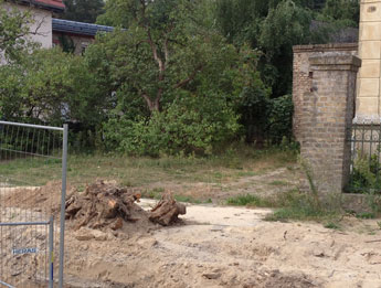 Blick auf Nr. 158 mit Baumwurzeln der Linden - heute Foto: Blick auf ein Haus Nr. 158 - im Vordergrund Baumwurzeln.