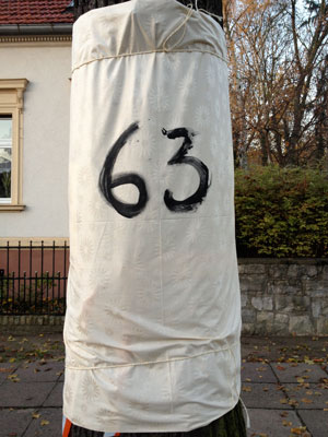 Stoff beschriftet mit Baumnummer auf Tuch, Baum Nr. 63 umwickelt.