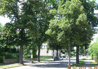 Blick auf Straße Richtung Marienweg am 7.7.2012 Foto von Linden am Marienweg - am 7.7.2012 aufgenommen.