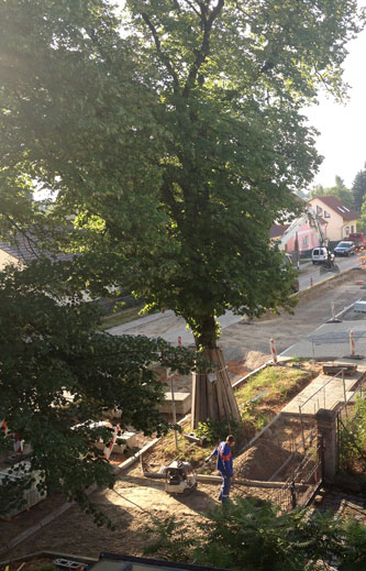 heute um 7.47 Uhr. aktuelles Foto von der Einfahrt um 7.47 Uhr ist zu sehen.