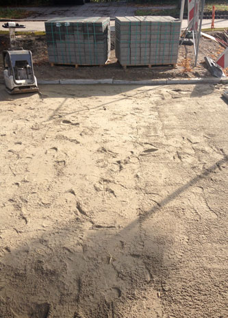 Planum Foto von der Einfahrt - Planum ist zu sehen.