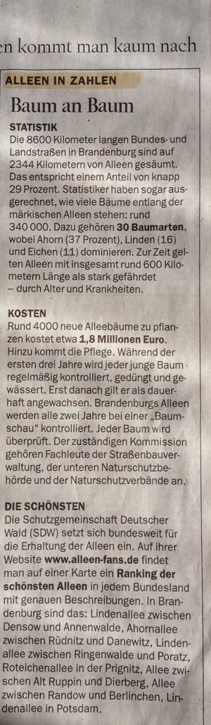 im Tagesspiegel Foto von Ausschnitt eines Artikels über Bäume ist zu sehen