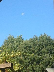 Foto: Blick auf den Himmel mit Mond ist zu sehen - Foto.