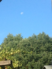 Blick auf Himmel mit Mond Foto: Blick auf den Himmel mit Mond ist zu sehen - Foto.