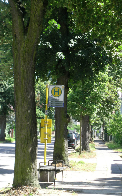 Foto vom Treffpunkt am Marienweg mit schönen alten Linden
