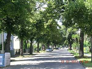 Allee