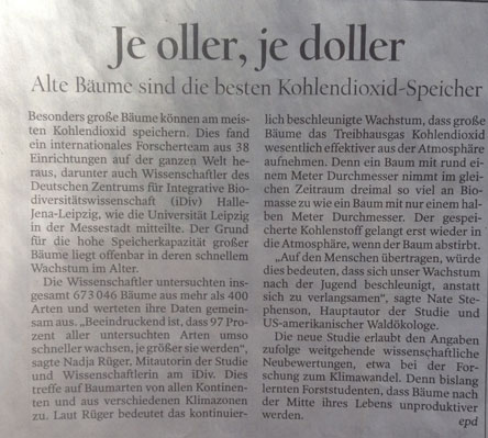 Blick auf Artikel heute Foto von Zeitungsartikel ist zu sehen - heute.