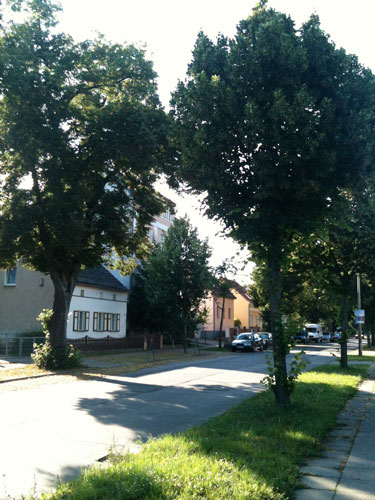 Blick von der anderen Seite des Marienweges