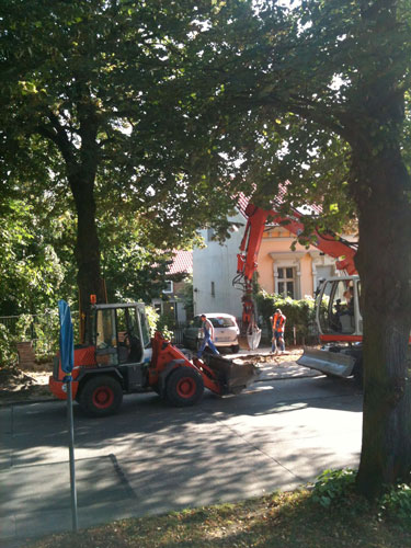 Bagger in den Ästen der Linden 72 - rechts im Bild - und 74