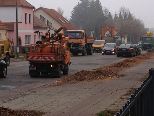 Foto von den Fällarbeiten - der letzte gesunde Ahorn wird abgesägt und zerkleinert.